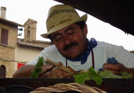 Farmer market