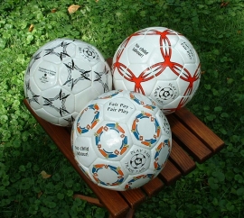 Festa Rimini Calcio 