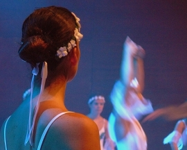 Festival Mondo a Forlì