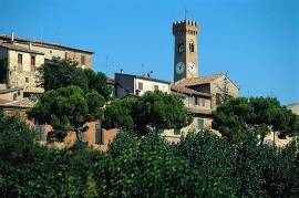 Fiera Dei Becchi Santarcangelo