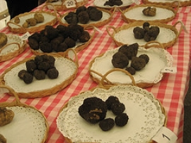 Fiera Del Tartufo Acqualagna