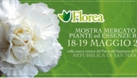 Florea 2013 San Marino