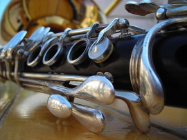 Forli lezioni Musica