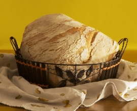 Forninfesta Il Pane In Piazza Rimini