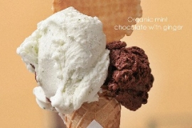 Gelato Salute Sigep Rimini