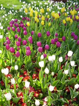 Giardini d’autore