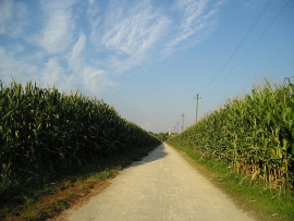 Giornata Agricoltura Familiare