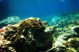 Giornata Europea del Mare