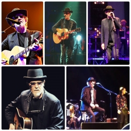 Cesena 2015 De Gregori Concerto