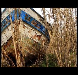Il mistero della nave naufragata a Comacchio