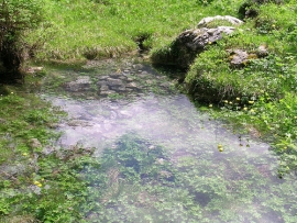 Inaugurazione sorgenti del fiume Rubicone