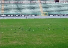Incognite Stadio Neri Rimini
