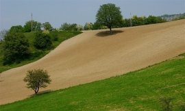 Itinerari Romagna