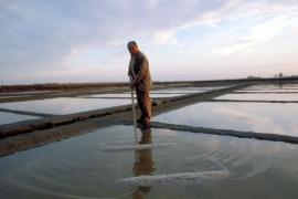 Itinerari Saline di Cervia