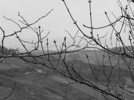 Le colline sulla via Emilia