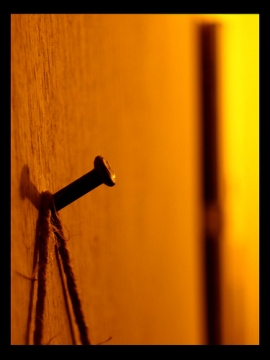 MAMbo Penone