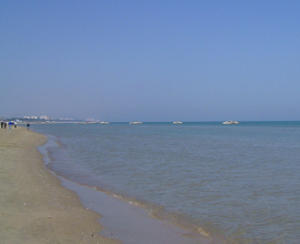 acqua pulita adriatico rimini