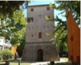 Mostra Conchiglie Torre Saracena Bellaria