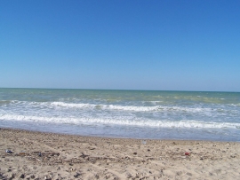 Mostra contro l’inquinamento dell’Adriatico