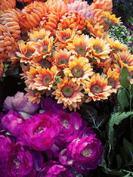 Mostra Fiori Pesaro