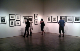 Mostra fotografica al Mega Forlì