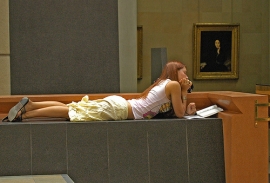Museografia Ferrara