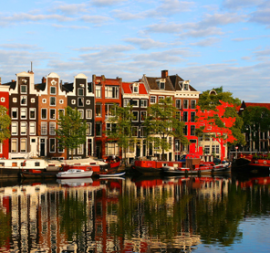 rimini amsterdam