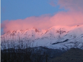 Notte Rosa