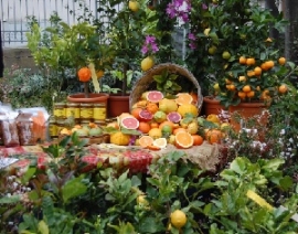 Novità Giardini D'Autore 2014 Primavera