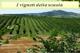 Novità Scuola Superiore Rimini 2011