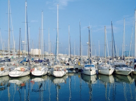 Nuovo Porto Senigallia