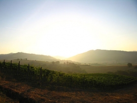 Nuovo tipo di agriturismo