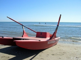 Palio della voga