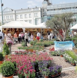 cattolica in fiore 2012