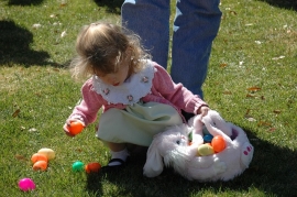 Pasqua 2018 a Rimini e Riccione con visita ai parchi tematici 