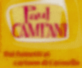 Paul Campani