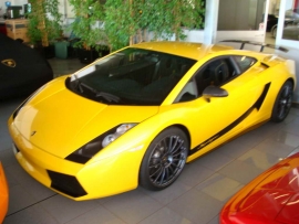 Personal Car Shopper Paolo Tramonti