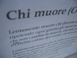 Poesie a Cattolica