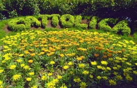 Ponte 1 Maggio a Cattolica: Cattolica in Fiore 