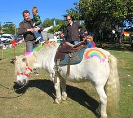 Pony Terapia