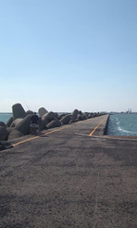 Porto Ravenna