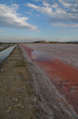 Progetto Turismo Centofiori