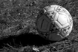 Realizzazione nuovo stadio stadio Neri Rimini