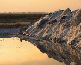 Record Presenze Museo Del Sale Cervia