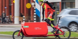 cargo bike rimini