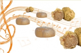 Sagra Fossa, Tartufo e Cerere Di Mondaino 2014