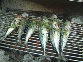 Sagra Pesce Azzurro 