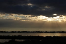 Saline di Cervia festeggiano i Trent'anni 