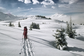 Sci Monte Carpegna