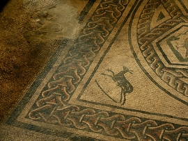 Situazione domus Rimini